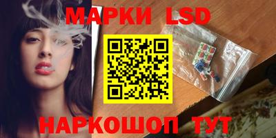 соль ск Пугачёв